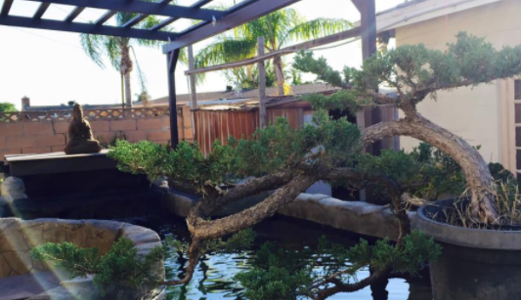     Tôi Đang Kẹt Tiền Muốn Để Lại Nhà Vườn 802M2 Sổ Hồng Riêng Có 323M2 Thổ Cư Giá 4,9 Tỷ 