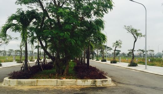 Bán Đất Mặt Tiền Quận Hải Châu, Đường Bùi Viện, Ven Sông Giá Rẻ
