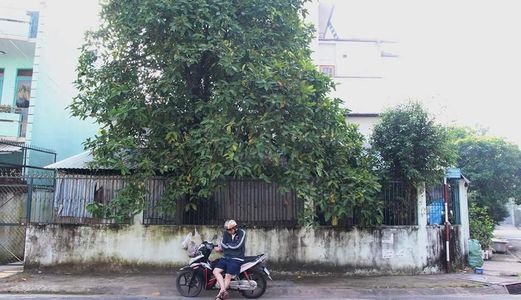 Bán Đất Đường Số 28, Phường 6, Gò Vấp - 179M2 - Giá Bán 10.8 Tỷ