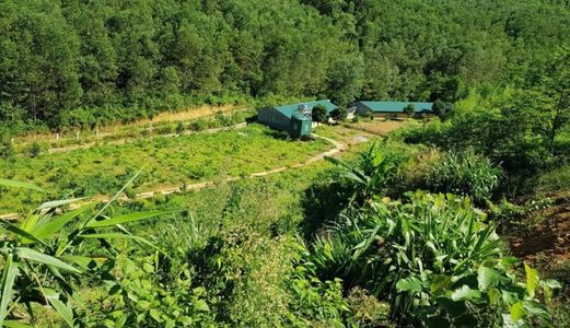 Bán 5Ha Đất Trang Trại Tuyệt Đẹp Tại Kỳ Sơn, Hòa Bình