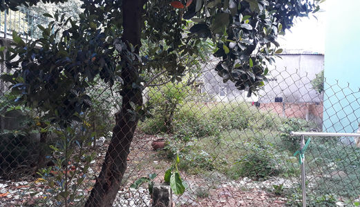 Bán 2 Lô Đất Liền Kề Hẻm 2/ Phan Huy Ích P14 Gò Vấp Đã Tách, Có Shr!