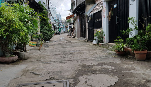 Bán Nhà Vị Trí Đẹp Ngay Trường Quang Trung, Gò Vấp: 4X15M, Giá: 4.35 Tỷ!