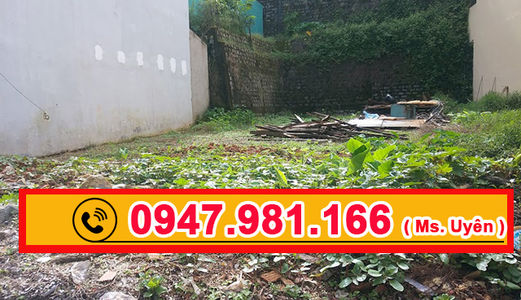 Đất View Rừng Thông Bao Quát, Thích Hợp Kinh Doanh Cafe, Khách Sạn...