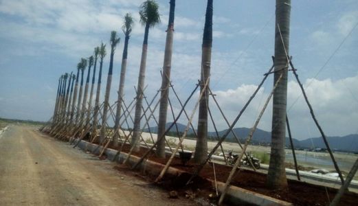 Đừng Bỏ Lỡ Cơ Hội Đầu Tư Sinh Lời Cam Kết Từ 20%-40%.nhanh Tay Lên Để Sở Hữu Những Vị Trí Đẹp Nhất