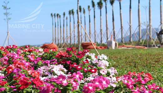 Đừng Bỏ Lỡ Cơ Hội Đầu Tư Sinh Lời Cam Kết Từ 20%-40%.nhanh Tay Lên Để Sở Hữu Những Vị Trí Đẹp Nhất