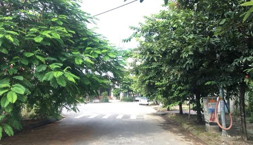 Bán Ô Góc Vườn Hoa 101M2 Hướng Tb Ở Cột 5-8 Mở Rộng.cách Biển Chưa Đầy 200M