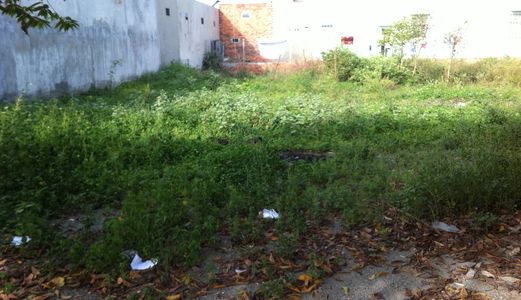 Cần Bán 90M2 Võ Văn Bích, Củ Chi, Thổ Cư 100%, Shr, Khu Dân Cư Đông, Lh: 0901261629