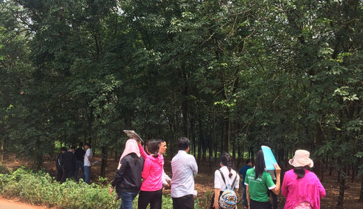 Bán Đất Long Thành, Đồng Nai, Giá Rẻ, Chiết Khấu Hấp Dẫn, Cam Kết Sinh Lời Cao.