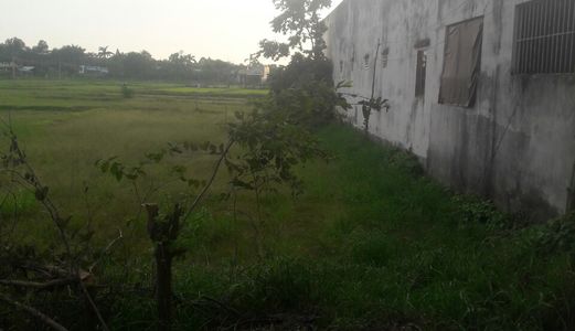 Vợ Chồng Tôi Cần Tiền Kinh Doanh Nên Bán Gấp Lô Đất 868M2 Đinh Đức Thiện, Bình Chánh- Tp Hcm