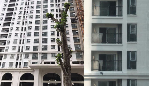 Bán Căn 0804 Và 2704 Eco Lake View Hướng Đẹp