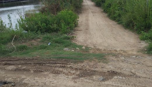 Cần Bán Lô Đất Thổ Vườn 4500M2= 90X50M, Chỉ 5.5 Triệu/m2 Hẻm Xe Tải Sổ Hồng Riêng Tại Nhà Bè