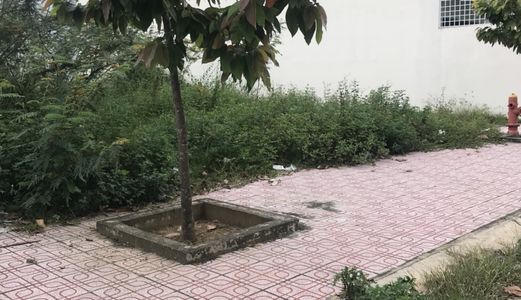 Lô Đất Đường Nguyễn Bỉnh Khiêm Mặt Tiền Thông Thoáng ,115M2,khu Dân Cư Song Ngữ Lạc Hồng, Bửu Long,