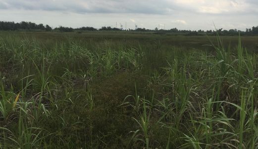 Đất Nhơn Trạch Phú Đông Sài Gòn