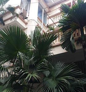 Cơ Hội Vàng Sở Hữu Biệt Thự Bán Đảo Linh Đàm, Lô Góc 3X90M2 Chỉ 10 Tỷ