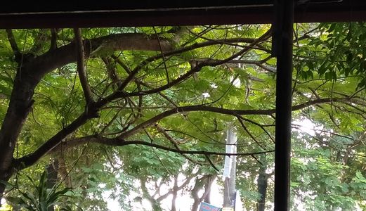 Bán Nhà Ven Hồ Ba Mẫu, Lê Duẩn, Đống Đa, Lô Góc, Ô Tô Cạnh Nhà, 30M X 5 Tầng, Chỉ 2.95 Tỷ 0971199644