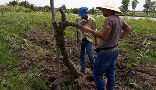 Đất  Vĩnh Thanh Nơi Làm Giàu Cho Nhà Đầu Tư