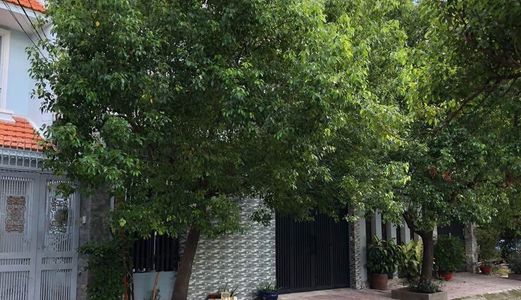 Bán Đất Khu Biệt Thự Bình Quới, Quận Bình Thạnh