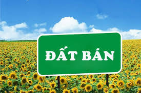 Đất Điện Ngọc Giá Công Nhân