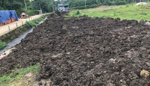 Đất Quốc Lộ 1A Vào 400M Đường Bê Tông Thảng Tắp ,Tại Xã Hưng Lộc ,Đồng Nai