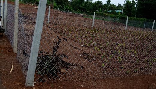 Cần Bán 2 Lô Liền Kề Tại Xã Hưng Lộc / Liền Kề Khu Công Nghiệp 