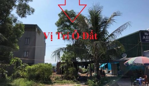 Bán Lô B-7 Trục Đường 31M Hà Khánh A Kinh Doanh Sầm Uất!