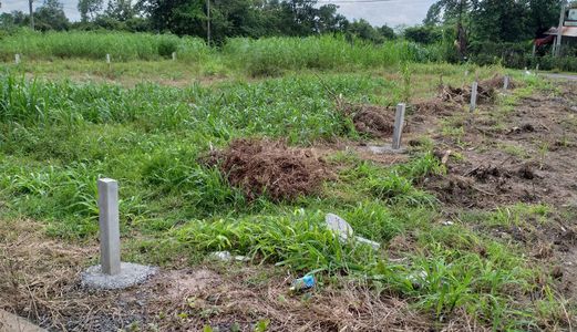 Đất Mặt Tiền Thổ Cư Đường Ba Sa Tại Củ Chi, Sổ Hồng Riêng, 390Triệu