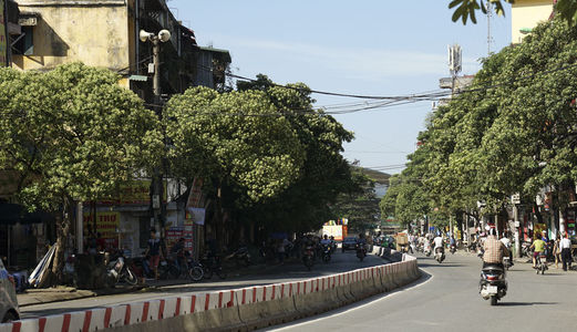 Đầu Tư Cho Thuê Sinh Lời Cao, 125M2 Lê Thanh Nghị, Hai Bà Trưng