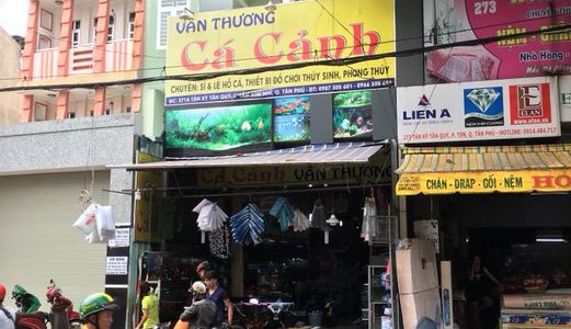 Mtkd Tân Kỳ Tân Qúy, P.tân Sơn Nhì, Q.tân Phú 4.5X27M, 3 Tâm Kiên Cố 