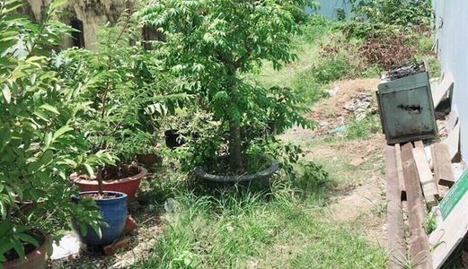 Bán Gấp Lô Đất Song Hành, Thị Trấn Hóc Môn - 1,6 Tỷ, Thổ Cư 100%, Lh 0903617937