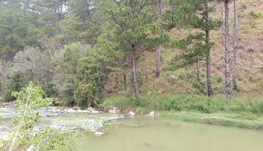 Bán Bất Động Sản Khác Đường Xã Lát, Phường Lạc Dương, Đà Lạt - 27770M2 - 30 Tỷ A3116