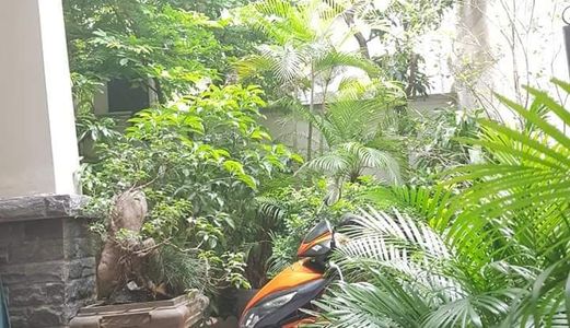 Biệt Thự Cực Đẹp, Cực Rẻ, Mặt Tiền Khủng, 165M2 Trung Kính, Cầu Giấy