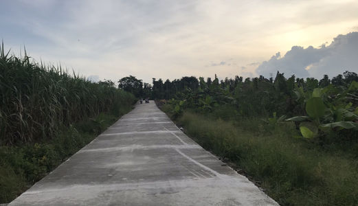 Cần Bán 130M /205Triệu Đường Bê Tông  5M Hiện Hữu /Tại Cổng Lộc Thịnh 