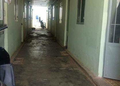 Bán Dãy Trọ Gần Đại Học Gia Định, Củ Chi, 12 Phòng, Thu Nhậu Hàng Tháng 10 Triệu. Bán Ngay 1.6 Tỷ.