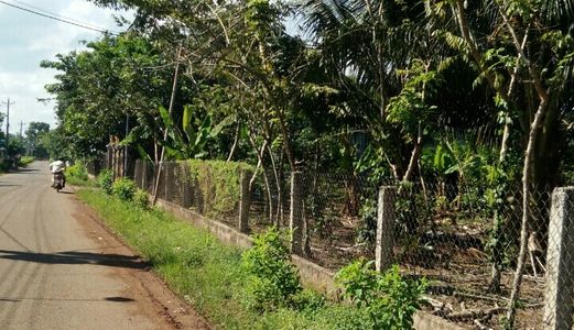 Chỉ Với 230 Triệu Sở Hữu 149M2 Đất Đường Bê Tông 5M, Đồng Nai