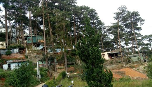 Đất Xây Dựng_View Đẹp,giá Rẻ_Tại Phường 3_Tp Đà Lạt