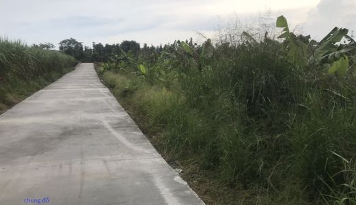 Đất Mặt Đường Nhựa 135M2 Giá 200 Triệu.