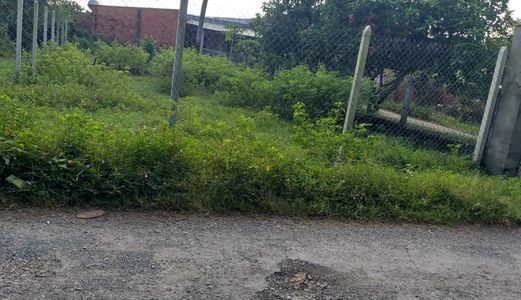 Bán Gấp 1 Lô Thổ Cư Đường Thanh Niên Tại Hóc Môn