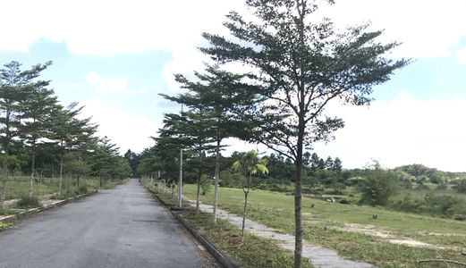 Bán Đất Nền Khu Du Lịch Giang Điền Có Lô Góc Đối Diện Công Viên Thanh Toán Chỉ Từ 450 Triệu Lh: 0188 665 9486