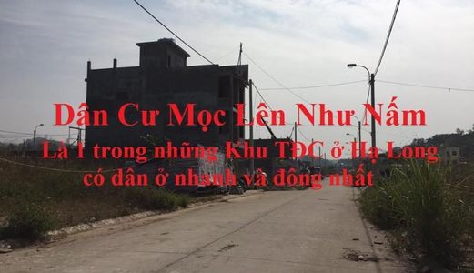 Chính Chủ Bán Lô A4-21 Và A3-12 Tái định cư Bãi Muối. Diện tích: 80M2, mặt tiền: 5M. Hướng: tây nam!