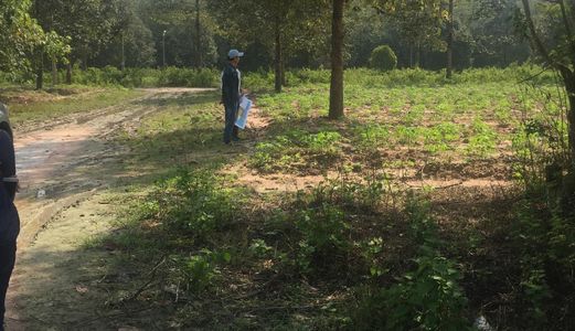 Đất Bình Dương Giá Rẻ Đầu Tư Sinh Lời