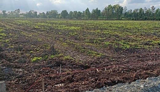 Dự Án Green Garden Tại Bến Lức Long An Mở Bán Đợt 1, Shr, Sinh Lợi Cao