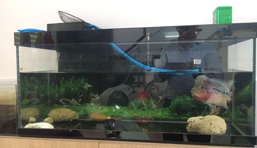 Khu Vip, Hẻm xe tải Hoàng Hoa Thám, Bình Thạnh Cực Chất!