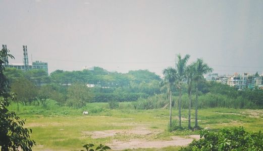 Đất Nền Bình Tân Giá Rẻ Như Cho. Đầu Tư Sinh Lời Cao. Mua Ở Tiện Lợi.