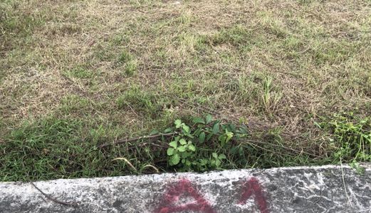 Đất Thổ Cư 5X22M, 5X30M, 9X22.2M Ql22, Củ Chi Shr