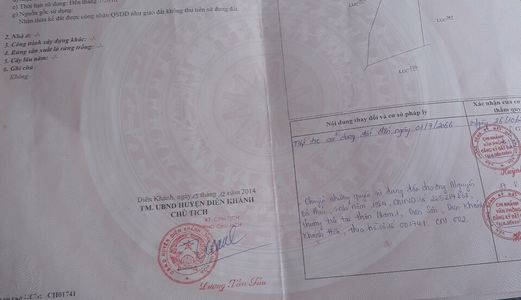 Bán Nhanh Lô Đất Ruộng Tại Diên An Diên Khánh Giá Đầu Tư