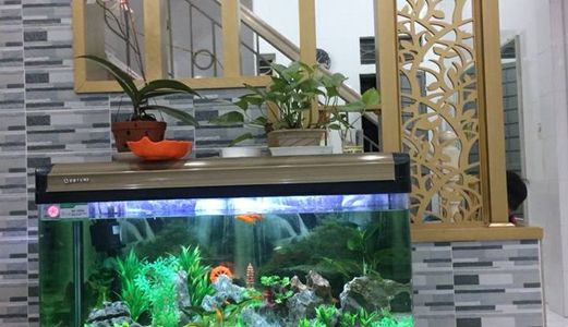 Của Hiếm! Bán Nhà Kim Giang, Hoàng Mai 38M2, 5 Tầng, 2.6 Tỷ