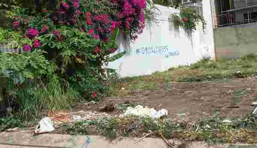  Cần Gấp Bán Lô Đất Thổ Sổ hồng riêng Xây Dựng Liền Mặt tiền Đoàn Nguyễn Tuấn 456 Triệu - LH 0901258488 - Huy