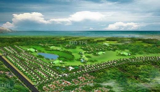 Cháy Hàng, Đất Nền Siêu Hot Tháng 11