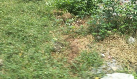 Cần Bán Ô Đất 930 Triệu Thôn Đại Tự, Kim Chung, 3 Mặt Thoáng