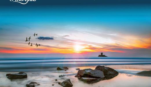 Chính Thức Giới Thiệu Paragrus Đô Thị Nghỉ Dưỡng Đầu Tiên Ở Bãi Dài Cam Ranh